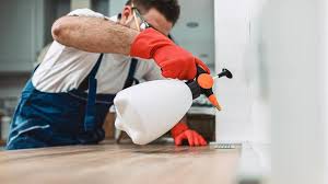 Best Pest Exclusion Services  in University Park, NM